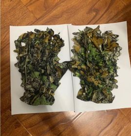 Leaf Camouflage Gloves